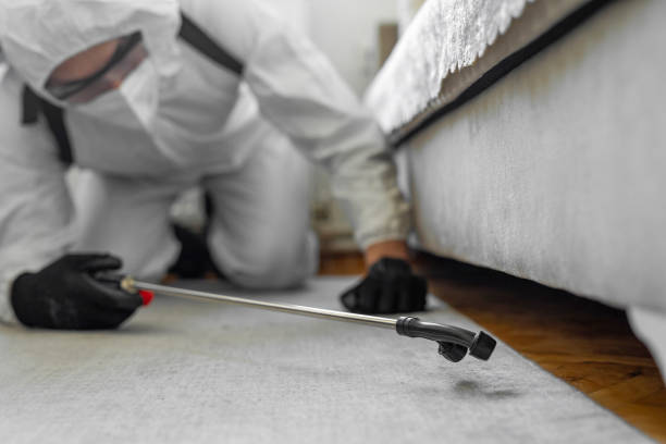 Professional Bed Bug Control technician working in Hiram, OH